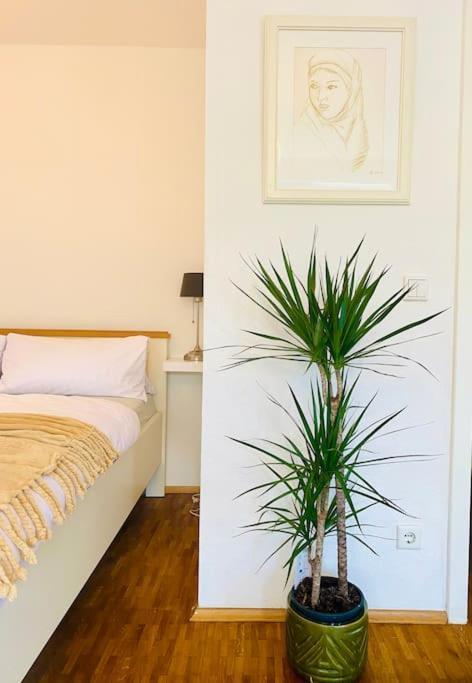 Nice And Calm Apartment In Duesseldorf Εξωτερικό φωτογραφία